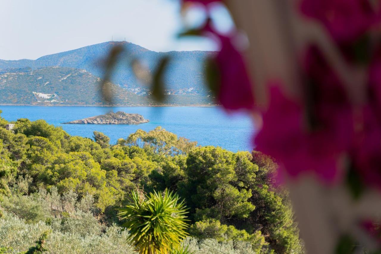 Villa Beis Porto Rafti Exterior photo